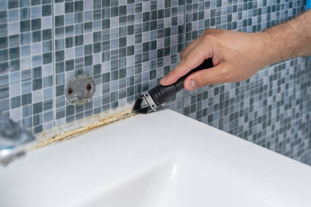 Best Office Mold Removal Services  in Wlow Springs, IL